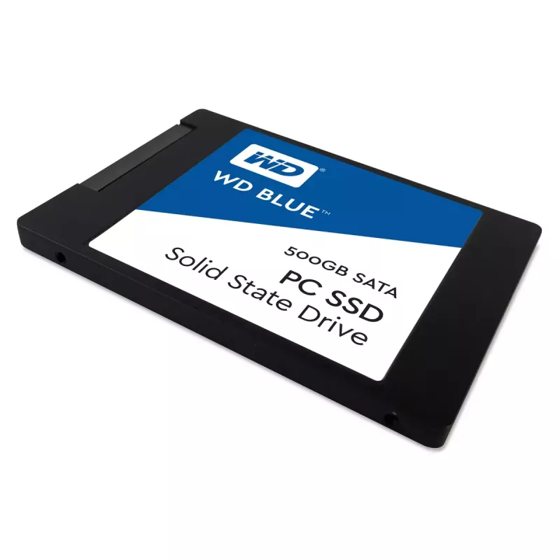 Western Digital 500 GB 2.5 collu SATA III SSD WDS500G1B0A