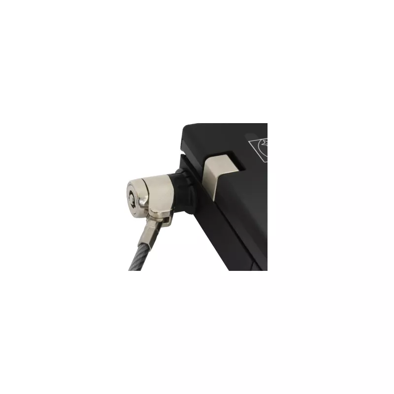 InLine Notebook Security Lock ar atslēgu 4.4mm x 2m