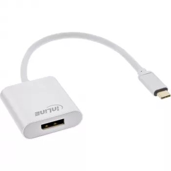 USB pārveidotājs InLine 64102S USB-C uz DisplayPort 4K 60Hz