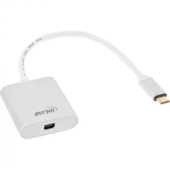USB-C uz Mini DisplayPort pārveidotājs InLine 64105S 4K 60Hz Sudrabs