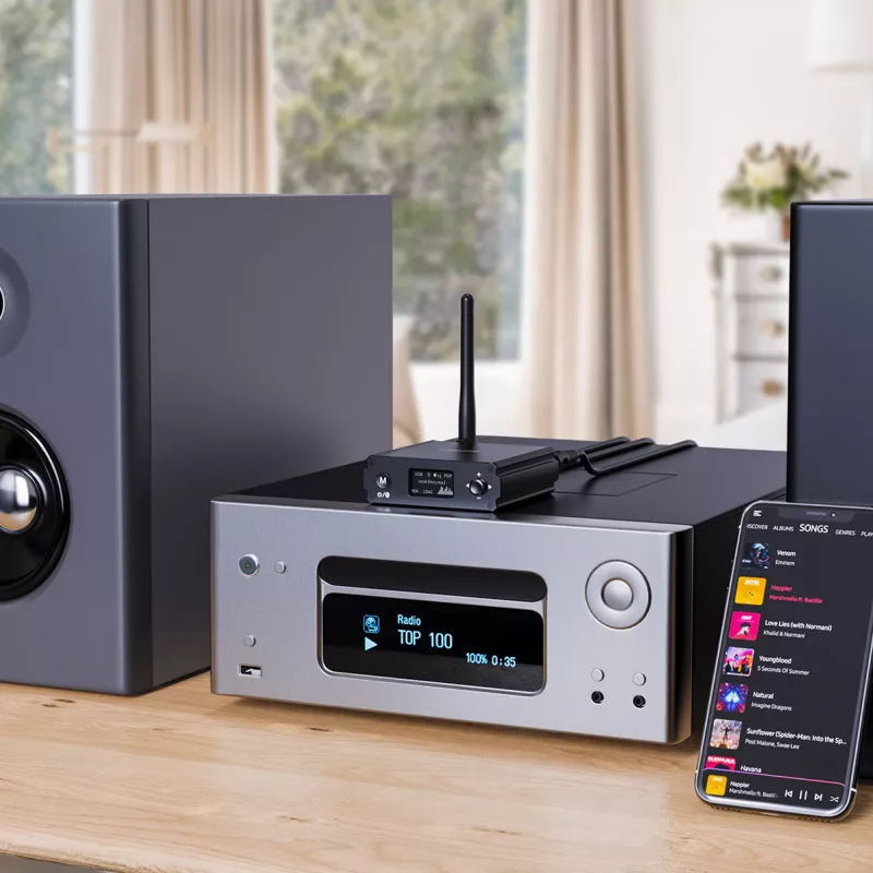 InLine Bluetooth 5.1 HiFi uztvērējs un USB DAC ar LCD, 30m diapazons