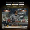 Philips Hue White and Colour Ambience viedās LED gaismas sākuma komplekts — 2× E27 11W spuldzes, Bluetooth/Zigbee