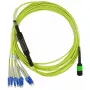 BlueOptics CBL-MPO12-4LC-SMF-5M-BO optiskā šķiedra MPO uz 4x LC, 5m