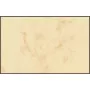 Vizītkartes Sigel DP744 bēšas, marbled, 100 gab.