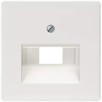 Siemens 5TG2545 sienas plāksne / slēdža pārsegs