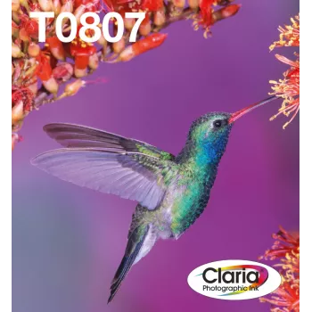 Drukas kasetņu komplekts Epson Hummingbird T0807 — 6 krāsas (Melna, Ciāna, Gaiši ciāna, Gaiši fuksīna, Fuksīna, Dzeltena)