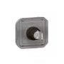 Slēdzis Legrand 069534L ar atslēgu, pelēks, Plexo Ronis