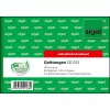 Biznesa veidlapa Sigel SD023 Zaļa A6 120 loksnes