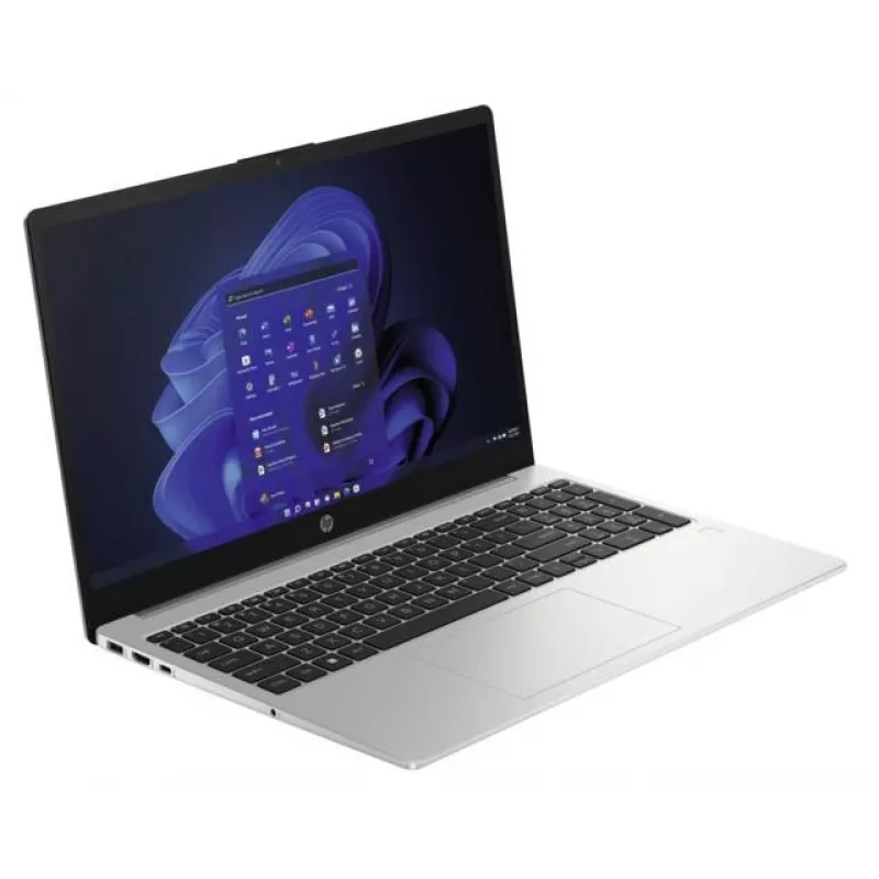 HP 250 G10 Intel® N100 klēpjdators 39,6 cm (15,6 collu) Full HD 8 GB DDR4-SDRAM 256 GB SSD Wi-Fi 6 (802.11ax) Windows 11 Home Sudrabs