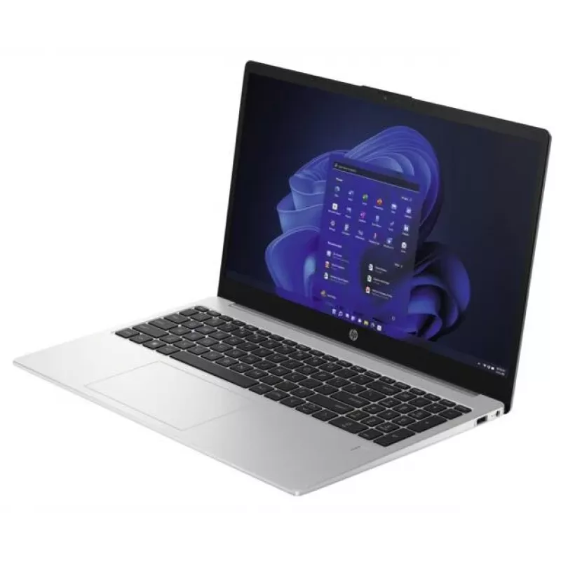 HP 250 G10 Intel® N100 klēpjdators 39,6 cm (15,6 collu) Full HD 8 GB DDR4-SDRAM 256 GB SSD Wi-Fi 6 (802.11ax) Windows 11 Home Sudrabs