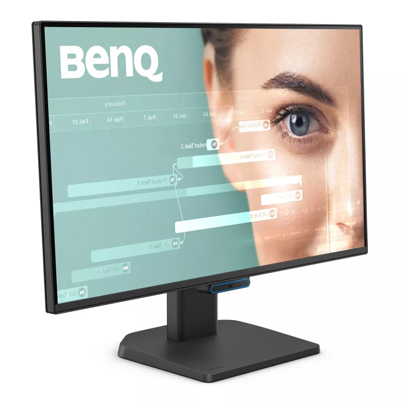 Datora monitors BenQ GW2490C 23.8 collas (60.5 cm) Full HD 1920×1080 5 ms 178° VESA Melns ar skaļruņiem