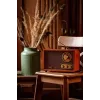 Portatīvais radio Adler AD 1171 — AM/FM, Bluetooth, 10 W RMS, bronzas krāsa