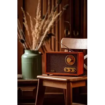 Portatīvais radio Adler AD 1171 — AM/FM, Bluetooth, 10 W RMS, bronzas krāsa