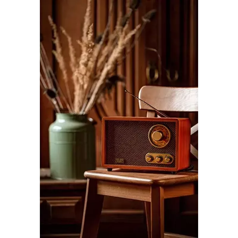 Portatīvais radio Adler AD 1171 — AM/FM, Bluetooth, 10 W RMS, bronzas krāsa