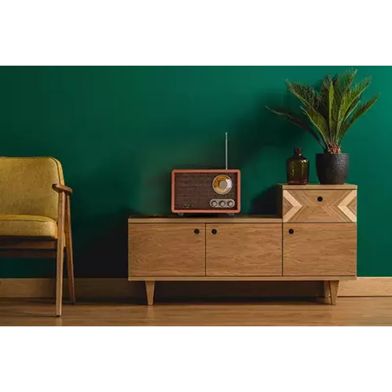 Portatīvais radio Adler AD 1171 — AM/FM, Bluetooth, 10 W RMS, bronzas krāsa