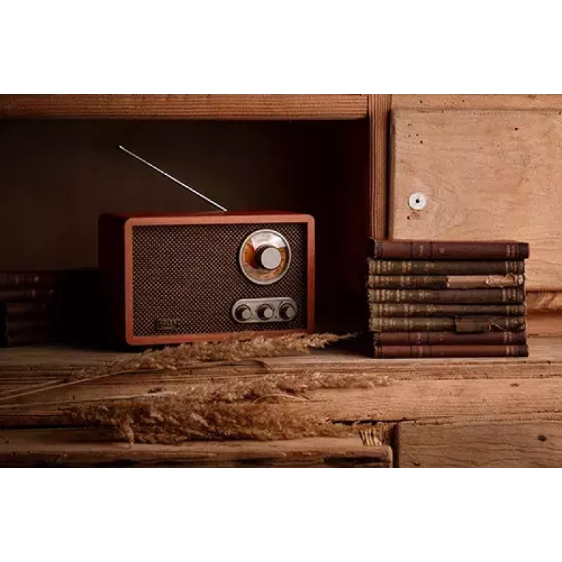 Portatīvais radio Adler AD 1171 — AM/FM, Bluetooth, 10 W RMS, bronzas krāsa