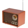 Portatīvais radio Adler AD 1171 — AM/FM, Bluetooth, 10 W RMS, bronzas krāsa