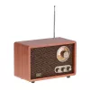 Portatīvais radio Adler AD 1171 — AM/FM, Bluetooth, 10 W RMS, bronzas krāsa