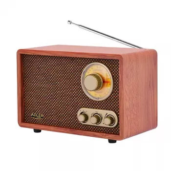Portatīvais radio Adler AD 1171 — AM/FM, Bluetooth, 10 W RMS, bronzas krāsa