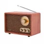 Portatīvais radio Adler AD 1171 — AM/FM, Bluetooth, 10 W RMS, bronzas krāsa