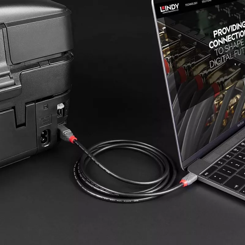 Lindy 2m USB 2.0 Type C uz B kabelis, Anthra Line