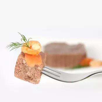 Animonda Vom Feinsten Mature Salmon 100 g — slapjā barība kaķiem, paplātē, bez lipekļa un sojas