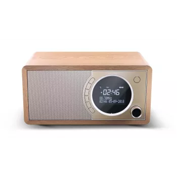 Sharp DR-450 Personālais digitālais radio, Brūns, Nerūsējošais tērauds