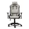 Trust 25532 spēļu krēsls, PC gaming krēsls, polsterēts sēdeklis, bēšs