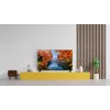 TCL 32V4C QLED televizors 32 collas (81,3 cm) HD 1366×768 Wi‑Fi Ethernet Melns