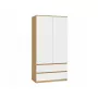 Skapis MALWA SS-90, 900×500×1800 mm, ozolkoka rāmis, baltas veramas durvis, 2 atvilktnes, skaidu plātne