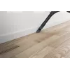 Putekļsūcējs Hoover HP105HM 011, cilindrisks, bezmaiss, 700 W, 2 L