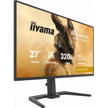 Spēļu monitors IIYAMA GB2791QSU-B1 27 collas (68.6 cm) QHD ar HDMI, DisplayPort un USB, melns