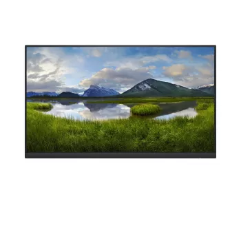 DELL P2422H_WOST 23.8 inch Full HD LCD monitors melns