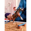 Schleich HORSE CLUB Hannah's Western Adventures