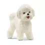 Schleich Bichon Frise suņa figūriņa