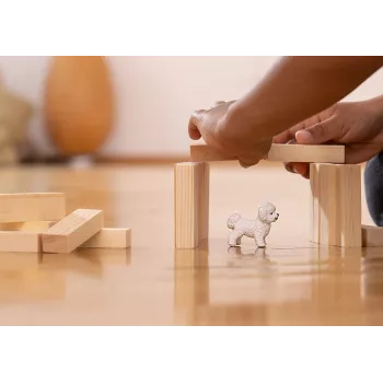Schleich Bichon Frise suņa figūriņa