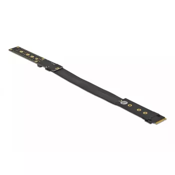 Riser karte M.2 Key M DeLOCK 64136