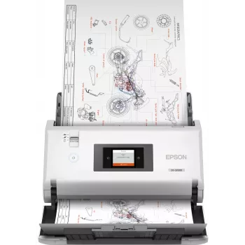 Epson WorkForce DS-32000 loksnes skeneris 600 x 600 DPI A3 balts