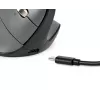 BakkerElkhuizen FastForward Pro pele, Labā roka, Vertikāls dizains, Optiskā, RF Bezvadu + Bluetooth + USB Type-C, 5000 DPI, Melna, Pelēka