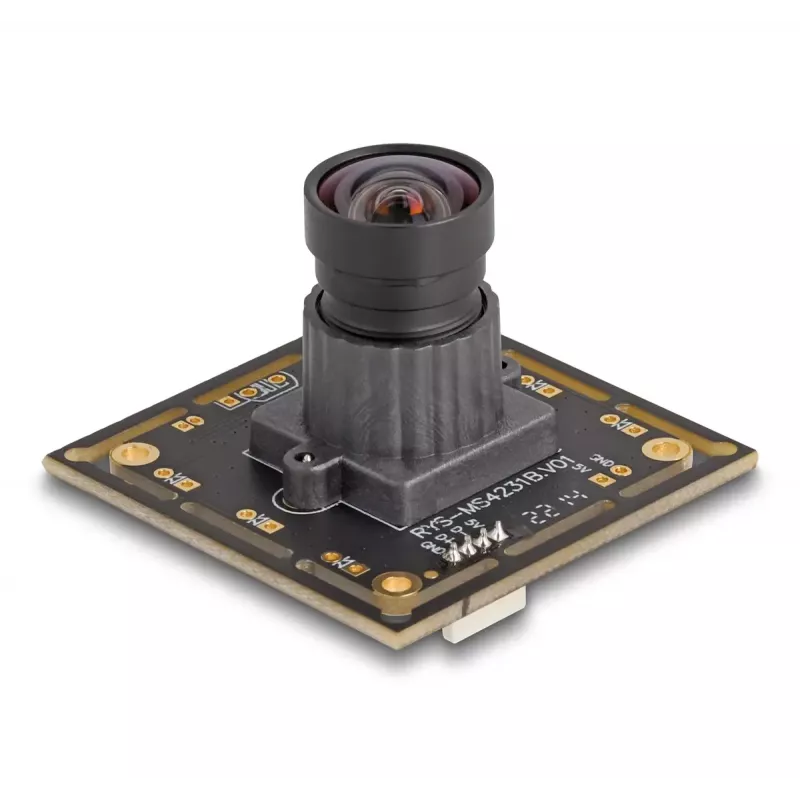 Webkamera DeLOCK 12069 2.1 MP 1920 x 1080 pikseļi USB 2.0 Melna