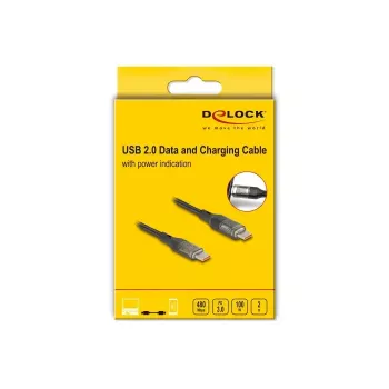 Kabelis DELOCK USB Type-C uz USB Type-C PD 3.0 100 W USB 2.0 dati 2 m ar jaudas indikāciju