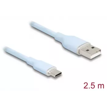 DeLOCK USB kabelis USB 2.0 2.5m USB A USB C zils