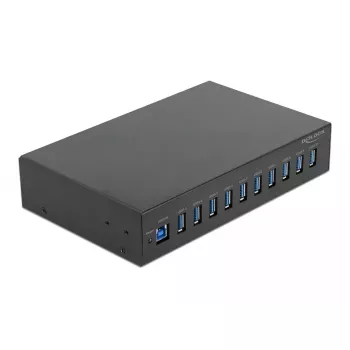 USB centrmezgls DeLOCK 64112, 10 porti, USB 3.2 Gen 1, metāla korpuss, 10 inch statīva stiprinājums