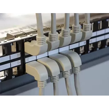 Patch Panel DeLOCK 43280 2U 48 portu