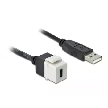 Keystone modulis DeLOCK 86382 plakans melns balts USB C