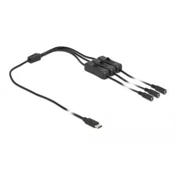 DeLOCK USB Type-C vīriešu uz 3 x DC 5.5 x 2.1 mm sieviešu kabelis 86801