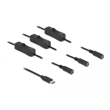 DeLOCK USB Type-C vīriešu uz 3 x DC 5.5 x 2.1 mm sieviešu kabelis 86801