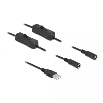 USB Type-A vīriešu uz 2 x DC 5.5 x 2.1 mm sieviešu ar slēdzi 1 m DeLOCK 86797
