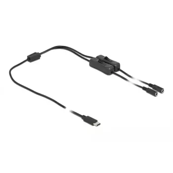 Kabelis USB Type-C vīrietis uz 2 x DC 5.5 x 2.1 mm sieviete ar slēdzi DeLOCK 86800