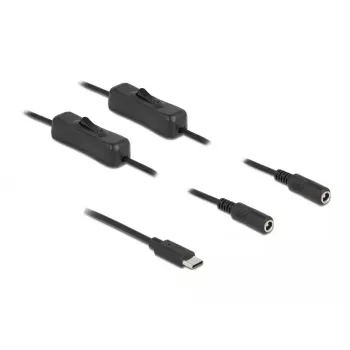 Kabelis USB Type-C vīrietis uz 2 x DC 5.5 x 2.1 mm sieviete ar slēdzi DeLOCK 86800